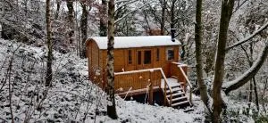 Peggy's Cabin in the Woods - Mytholm