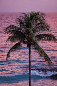 Sandals Royal BarbadosInclusive - Couples Only