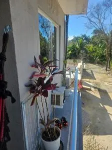 Santa América 200 - Melado