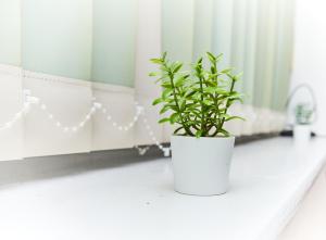 Emerald Excel City Airport o2 Apartment