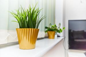 Emerald Excel City Airport o2 Apartment