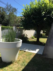 Maisons de vacances Maison de vacances avec piscine a 5 minutes de Perigueux : photos des chambres