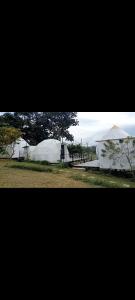 View X & Camper ที่พักเขาค้อเต็นท์โดมขนาดใหญ่