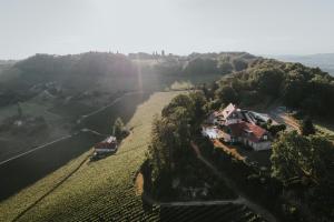 Winzarei Ciringa Menhard 