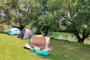 Camping Bela krajina - Pitches