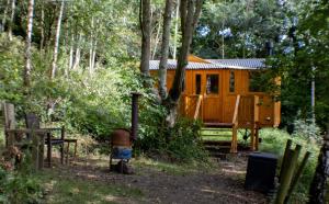 Peggys Cabin in the Woods