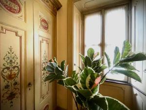 dHomes Apartments and Rooms - Galleria Gold, balcony