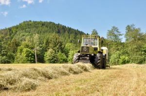 Pension Vogtsmichelhof - Leibgeding