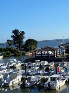 Appartements Appartement au Bord de l-eau vue Bassin d-Arcachon et Port : photos des chambres