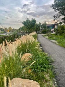 Tiny Loft Style House