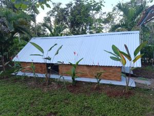 Chava Camping Rio Celeste