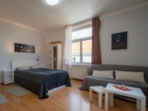 Comfortable apartment in Prague 8 - Libeň