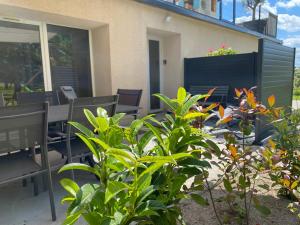 Appartements Gite du petit ourson - Vue jardin - : photos des chambres