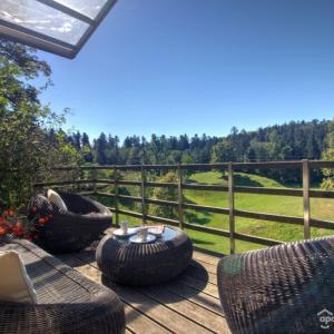 Posestvo Laz - The Laz Estate