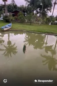 Sítio meu recanto - Canelinha