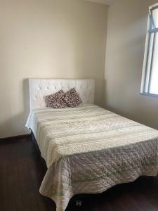 Casa para Carnaval em BH