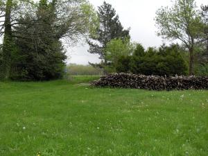 la source et la sorciere