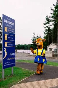 Castlewood Holiday Park - 阿德格罗夫