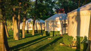 Юртов лагер Наедно