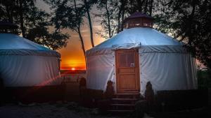 Юртов лагер Наедно