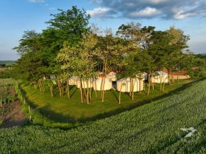 Юртов лагер Наедно