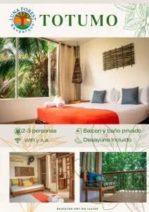 EKOPARQUE LUNAFOREST - Los Arrayanes