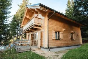 Chalet mit Sauna XL 28 - Glashütten