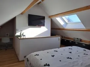 Au Sarseyis - studio d'hôtes - studio équestre - Andrîfosse