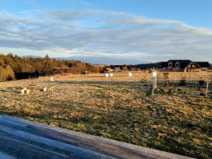 Przewietrzona Głowa