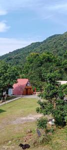 Glamping RanchoEmilio