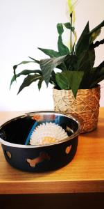 Appartements Chez Soso : photos des chambres