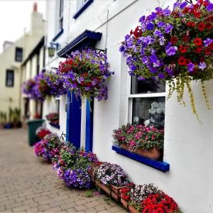 Bonjour Guest house - Herm