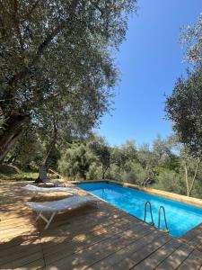 Podere Il Piantoneto