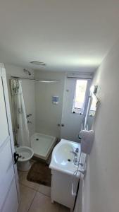 Department Malviush 1