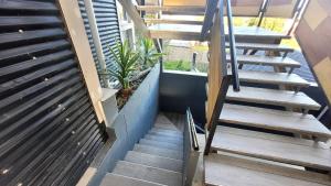 Department Malviush 1