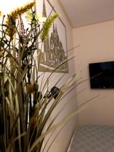 Frasolis Studio Apartman