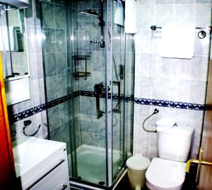 Vila Nikola 202 centar