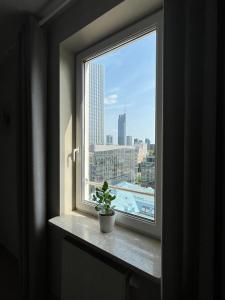 Apartament z widokiem na centrum i darmowym parkingiem