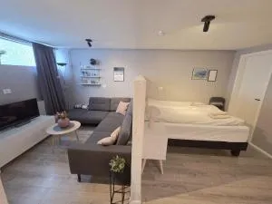 Cozy newly renovated studio apartment - Svalbarð