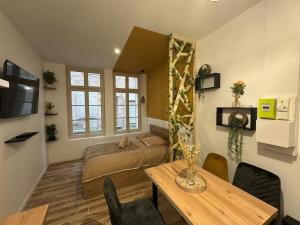Appartements Studio hyper centre le Cosy : photos des chambres