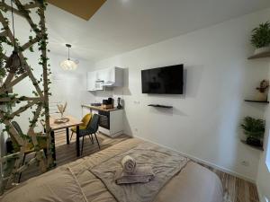 Appartements Studio hyper centre le Cosy : photos des chambres