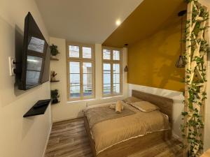 Appartements Studio hyper centre le Cosy : photos des chambres