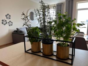 Apartament z widokiem na centrum i darmowym parkingiem