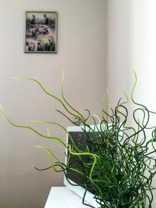 Cosy Flat Pisek Downtown, Апартаменты - Писек