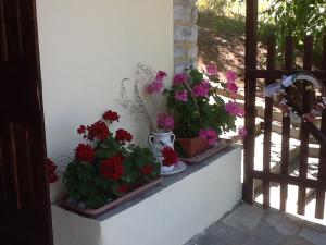 Guesthouse Kleopatra's Pelion Greece