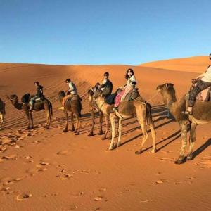 luxury camp desert ideal