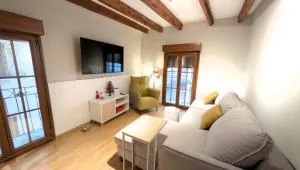 Apartamento Bielsa Plaza - 伊斯皮尔巴