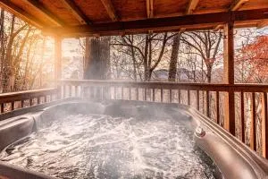 Whiskey Run Cabin, Spectacular Mountain Views - Maple Springs