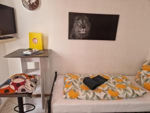 Erdgeschoss kleine Apartament