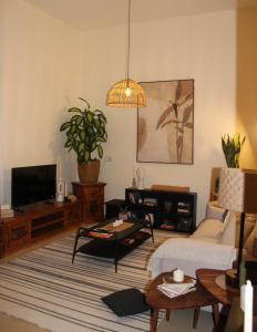 Boho Style Cozy 1 BHK Apartment